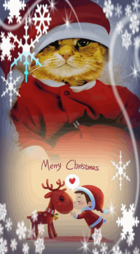 Merry Christmas Happy Holidays GIF - Merry Christmas Happy Holidays Cute Cat GIFs