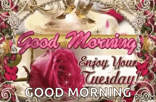 Good Morning Rose GIF - Good Morning Rose Tuesday GIFs