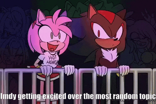 amy rose and shadow the hedgehog are standing next to each other behind a fence .