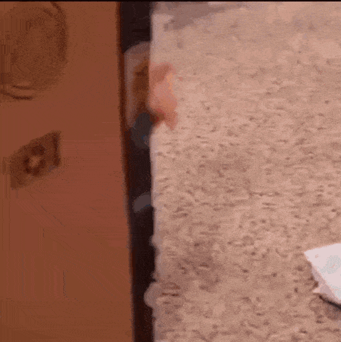 a close up of a person 's hand reaching for a door handle .