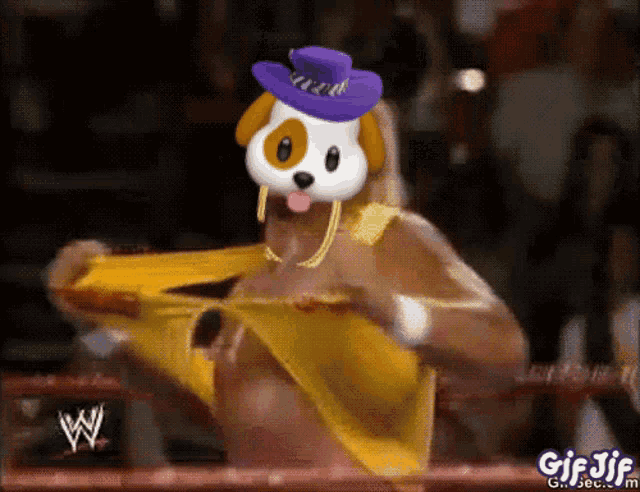 a gif of a dog wearing a purple hat and a yellow shirt