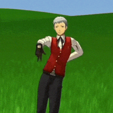 a man in a red vest is standing in a field