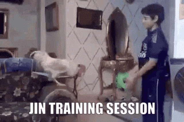 a boy is standing in a living room with a dog on a couch and the words jin training session on the bottom .