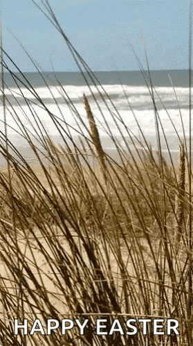 a picture of tall grass with the words happy easter written below it