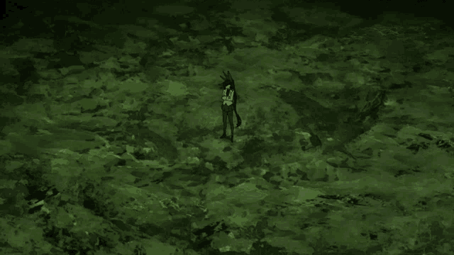 a person is standing in the middle of a green area