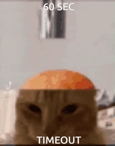 Cat Brain Cat Head GIF - Cat Brain Cat Head Cute GIFs
