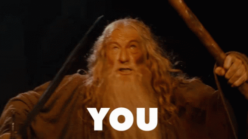 You Shall Not Pass Lord GIF - You Shall Not Pass Lord Lord Of The Rings GIFs