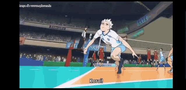 a man is jumping in the air while playing volleyball on a court in front of a crowd .