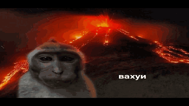 a monkey is standing in front of a volcano with the word " bahuyu " written below it