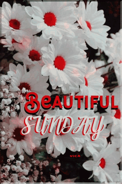 a picture of flowers with the words beautiful sunday written on it