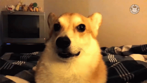 Shocked You Talking To Me GIF - Shocked You Talking To Me Dumbfounded GIFs