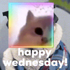 a happy wednesday greeting with a picture of a dog