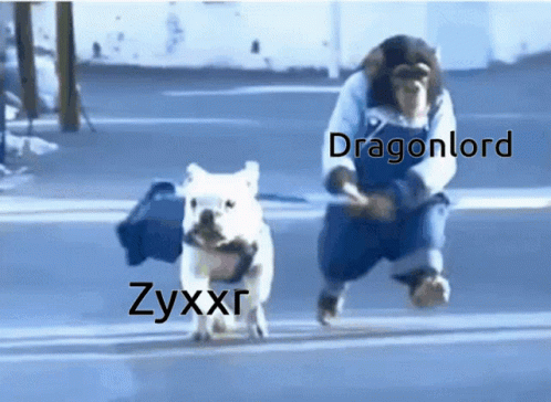 Zyxxr Monkey GIF - Zyxxr Monkey Dog GIFs