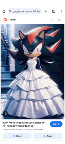 a picture of shadow the hedgehog wearing a wedding dress