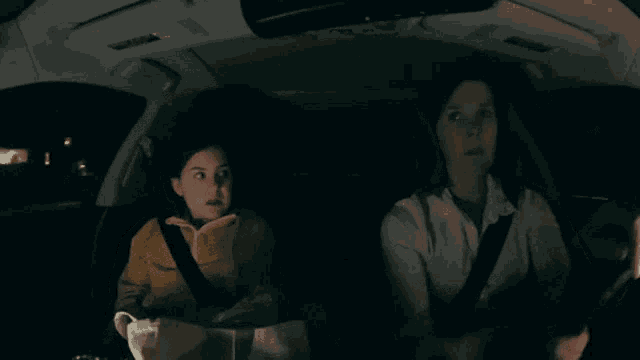 two women are sitting in a car at night