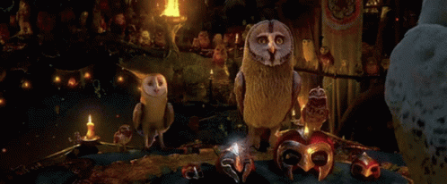 Guardians Of GIF - Guardians Of Gahoole GIFs