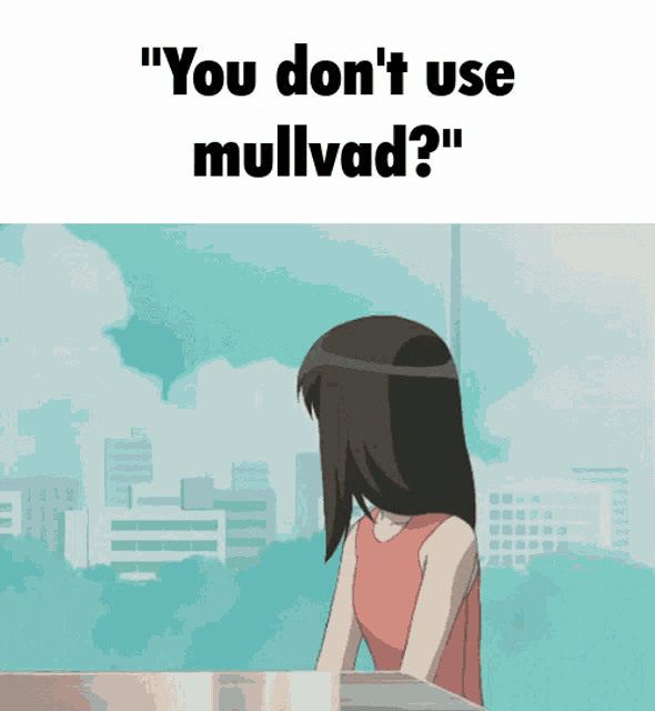 a girl sitting at a table with the words " you don 't use mullvad "