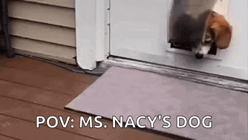 a dog is sticking its head out of a door .