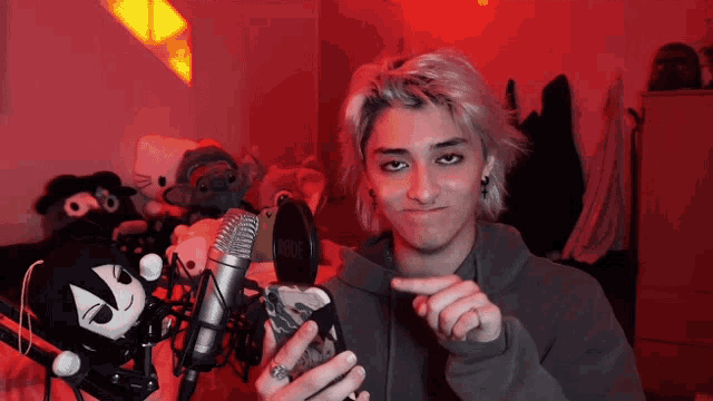 a young man is standing in front of a microphone with a stuffed animal behind him