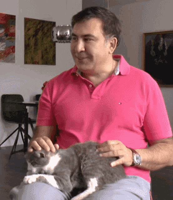 Saakashvili Cat GIF - Saakashvili Cat Misha GIFs