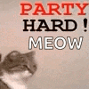 a cat is sitting in front of a sign that says party hard ! meow .