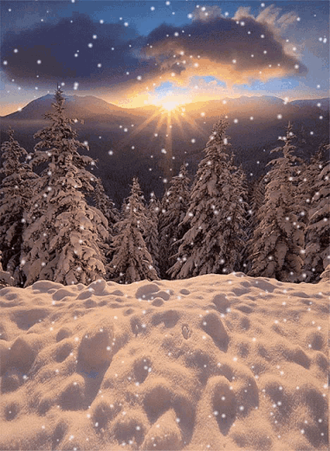 a snowy landscape with trees in the background and the sun shining through the clouds