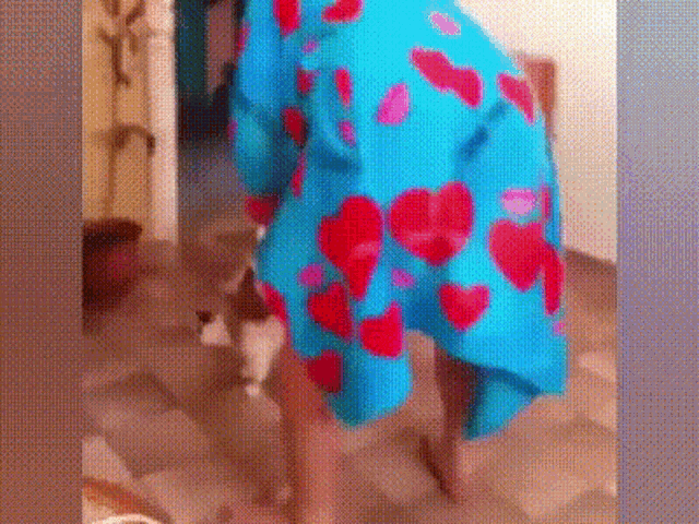 Cat Dance GIF - Cat Dance Wiggle GIFs