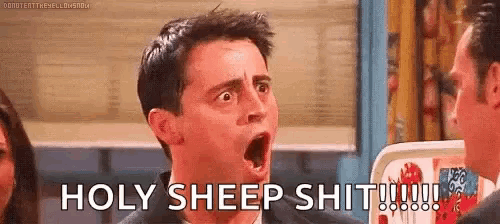 a man with his mouth open and the words `` holy sheep shit '' written on his face .