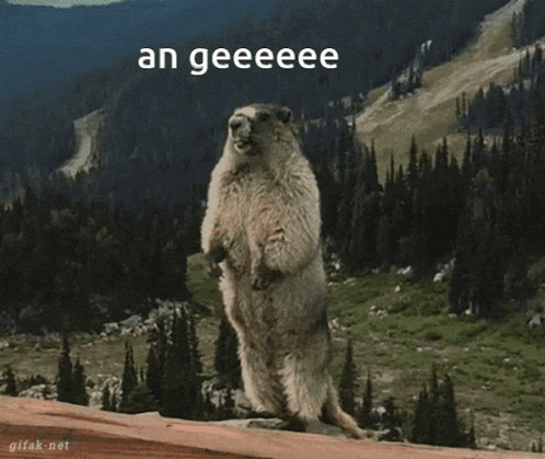 a ground squirrel standing on its hind legs with the words an geeeee written above it
