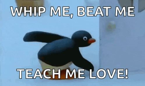whip me beat me teach me love with a penguin