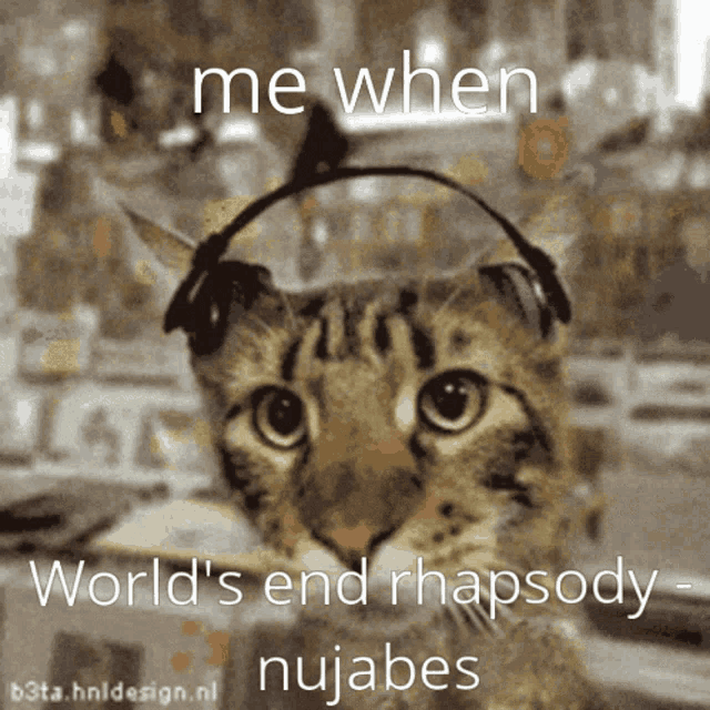 a cat wearing headphones with the words " me when world 's end rhapsody nujabes "