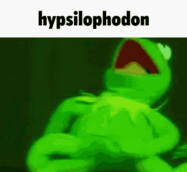 kermit the frog is making a funny face with his mouth open and the words hypsilophodon behind him .