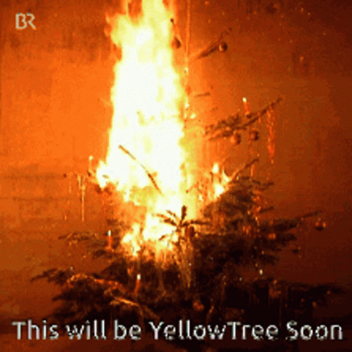 Yellow Tree GIF - Yellow Tree GIFs