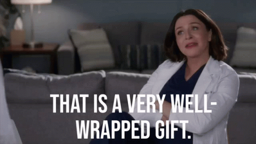 Greys Anatomy Amelia Shepherd GIF - Greys Anatomy Amelia Shepherd That Is A Very Well Wrapped Gift GIFs