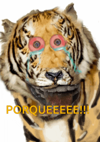 a tiger with red eyes and the word porqueeee