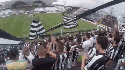 Botafogo GIF - Botafogo Torcedores Torcida GIFs