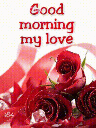 Good Morning My Love Roses GIF - Good Morning My Love Roses My Love GIFs