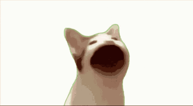 a cat with its mouth open and a green outline around it .