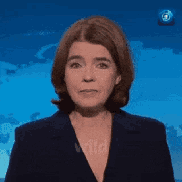a woman in a blue suit is standing in front of a blue background with the word wild on it
