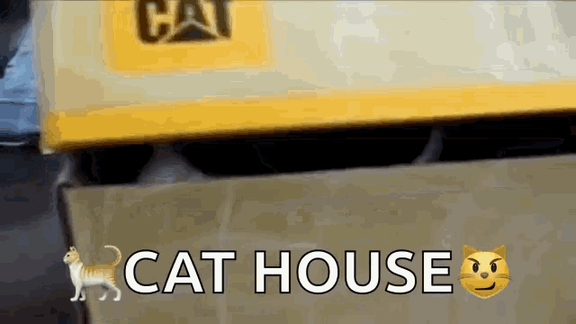 a cat is peeking out of a cardboard box that says cat house on it