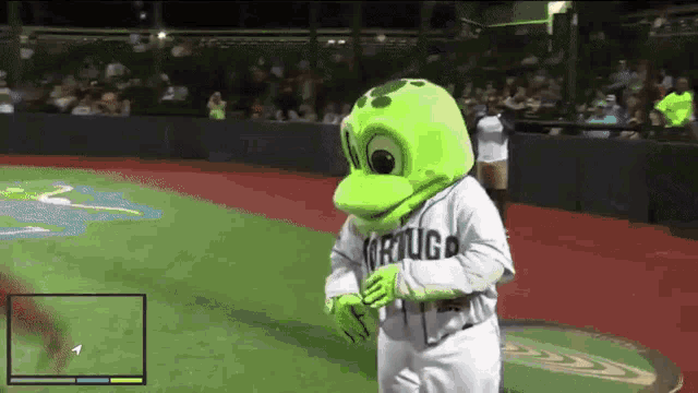 a mascot for the tortuga baseball team stands on a baseball field