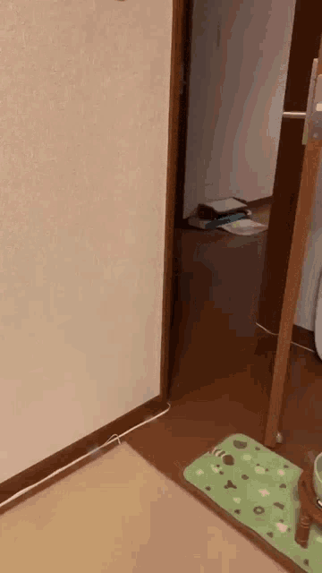 a person is standing in a room next to a door with a green mat on the floor .