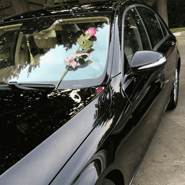 a black car with a pink rose on the hood