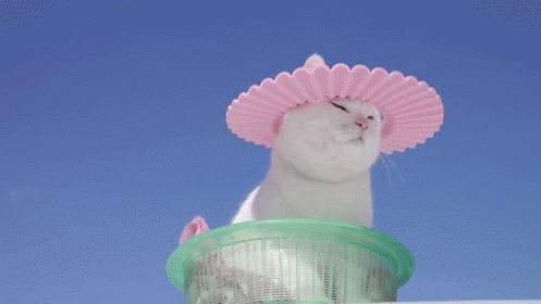Summer Shade Cat GIF - Cat Shade Relax GIFs