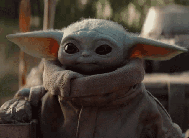 Baby Yoda Cute Star Wars GIF - Baby Yoda Cute Baby Yoda Star Wars GIFs