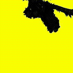 a silhouette of a cat with wings is on a yellow background