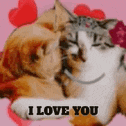 two cats are hugging each other with the words `` i love you '' written below them .