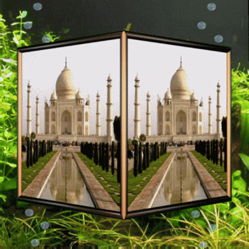 Taj Mahal India GIF - Taj Mahal India Yamuna GIFs