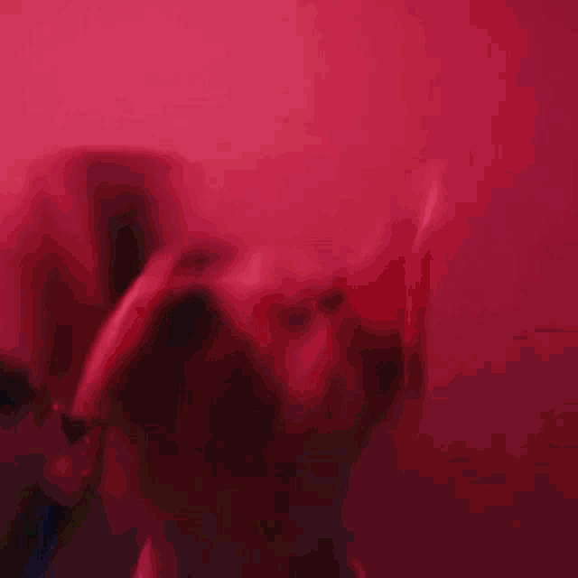 a dog is swimming in a dark blue water