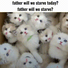 a bunch of kittens in a box with the words `` father will we starve today ''